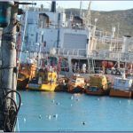 puerto_caleta_paula16