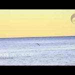 Voces del Viento- Del tallo a la flor