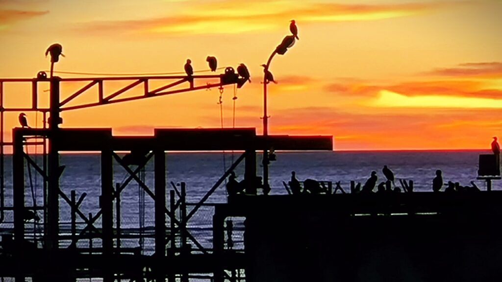 Imágenes del muelle de Caleta Olivia al atardecer