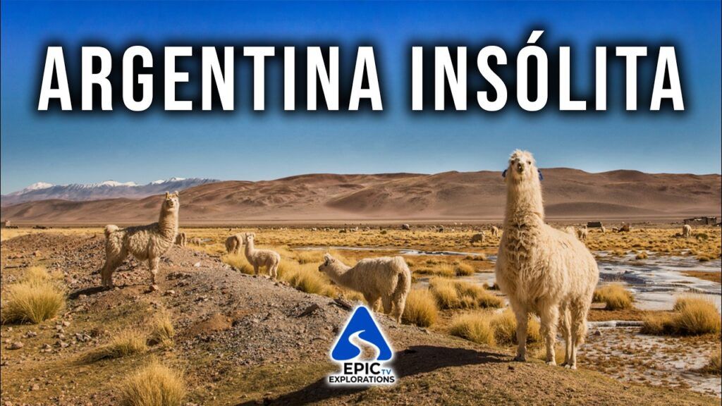 Los mejores Videos sobre Argentina