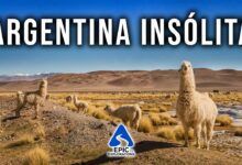 Los mejores Videos sobre Argentina