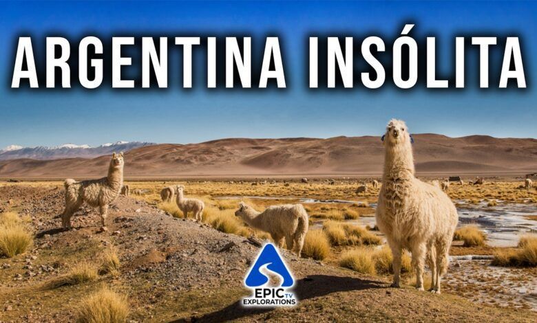 Los mejores Videos sobre Argentina