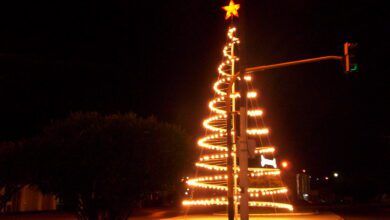 Arbolito de Navidad en Caleta Olivia iluminado