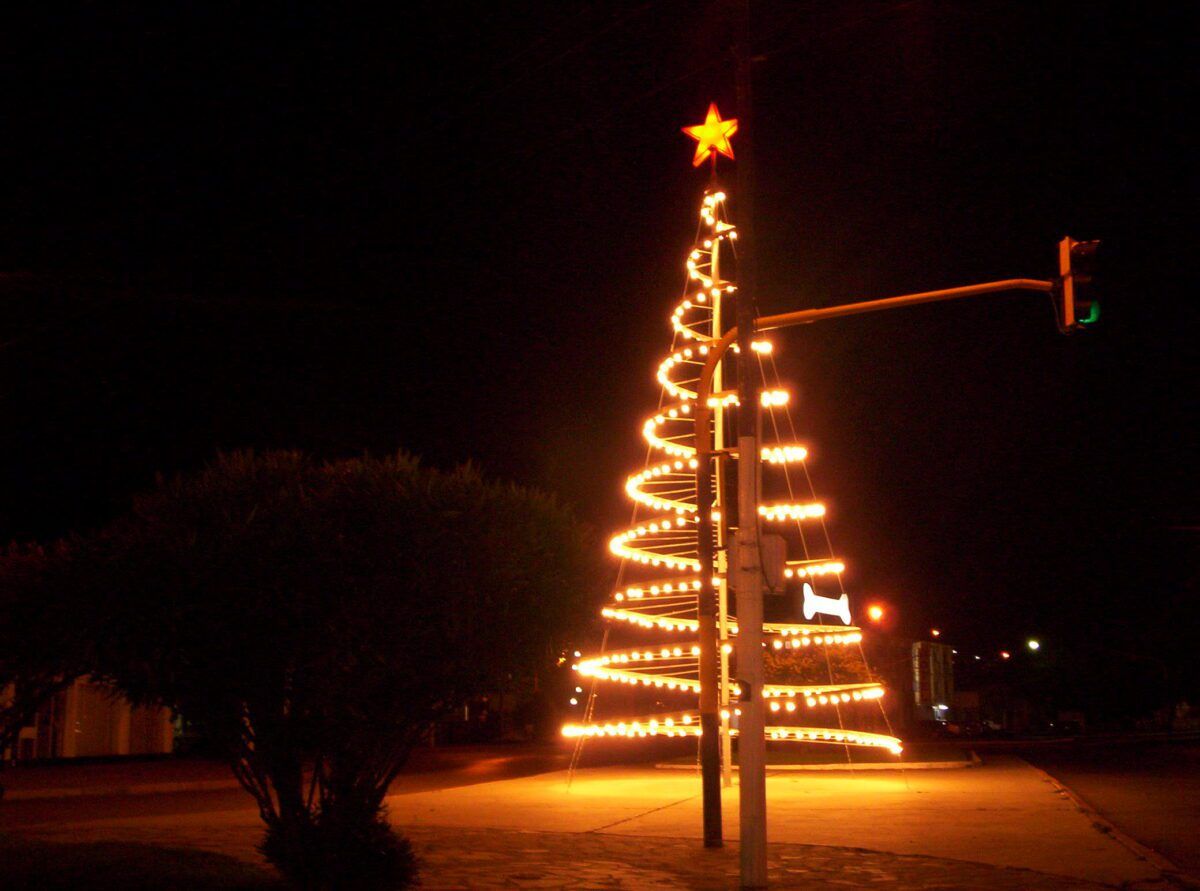Arbolito de Navidad en Caleta Olivia iluminado